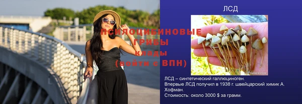 дмт Магадан