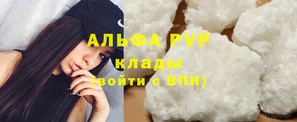 гашик Магас
