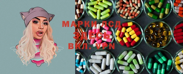 гашик Магас