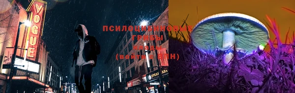 дмт Магадан