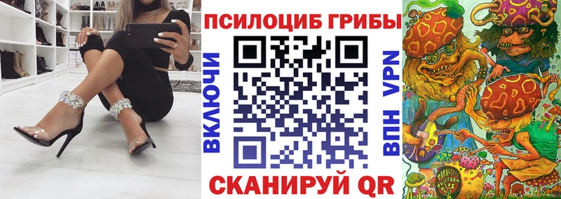 Купить  Ермолино  Псилоцибиновые грибы GOLDEN TEACHER 